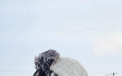 R级新片痛击大荧幕